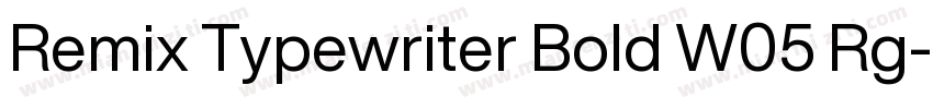 Remix Typewriter Bold W05 Rg字体转换